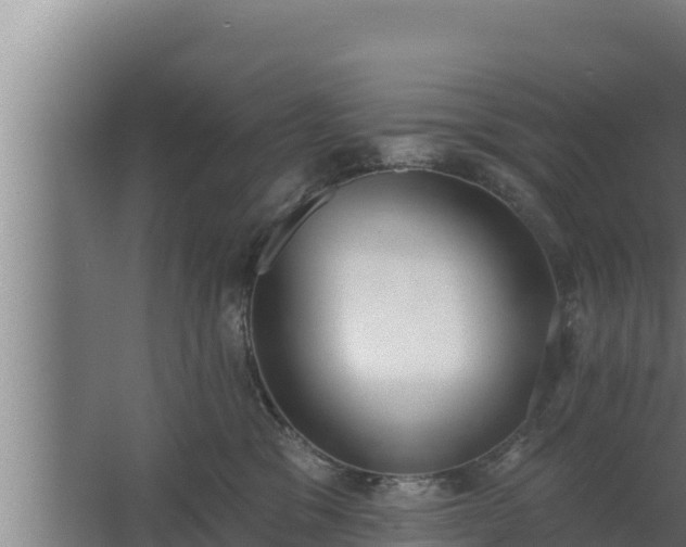 X0000064050329200602031630