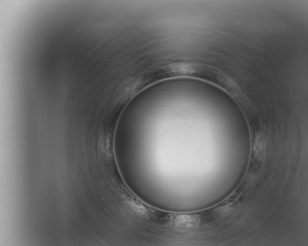 X0000064050330200602031630