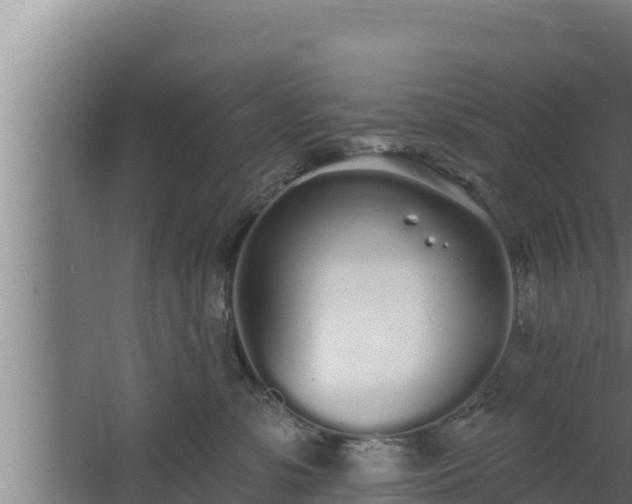 X0000064050331200602031630