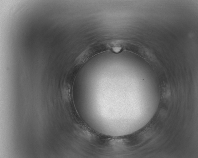 X0000064050332200602031630