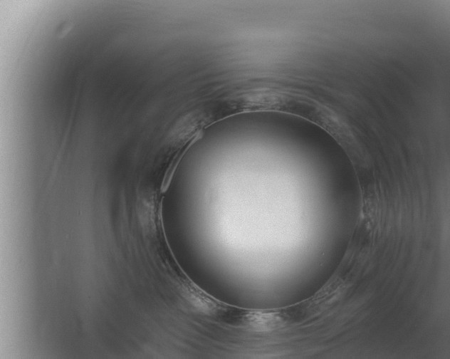 X0000064050333200602031630