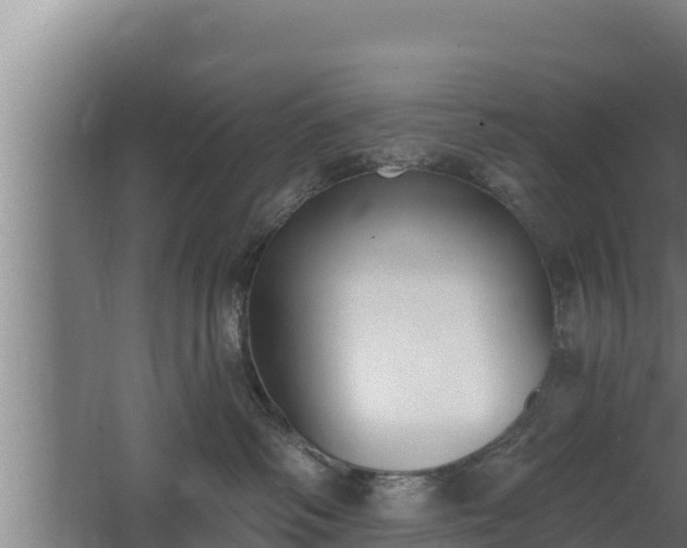 X0000064050334200602031630