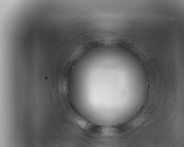 X0000064050336200602031630