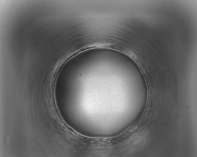 X0000064050337200602031629