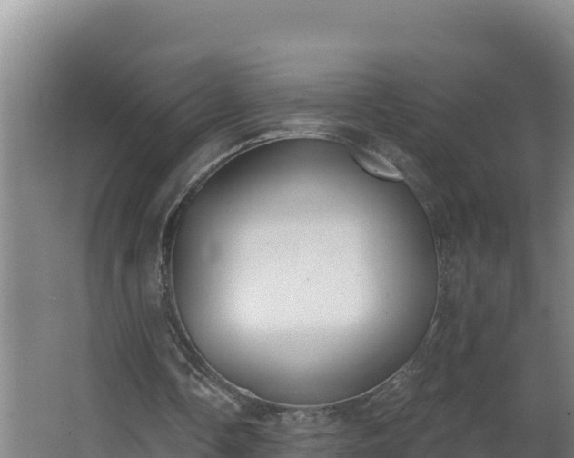 X0000064050338200602031629