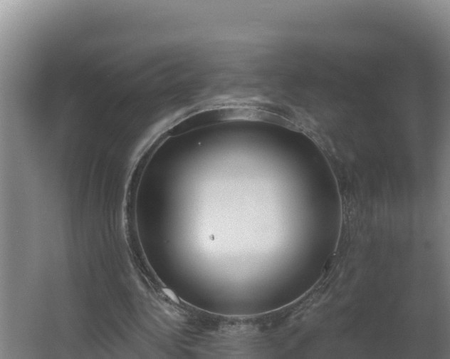 X0000064050340200602031629