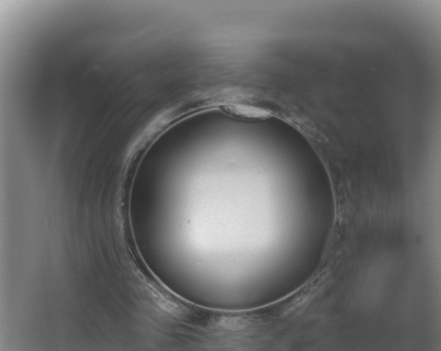 X0000064050341200602031629