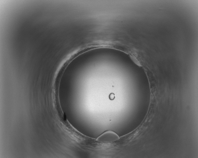 X0000064050342200602031629