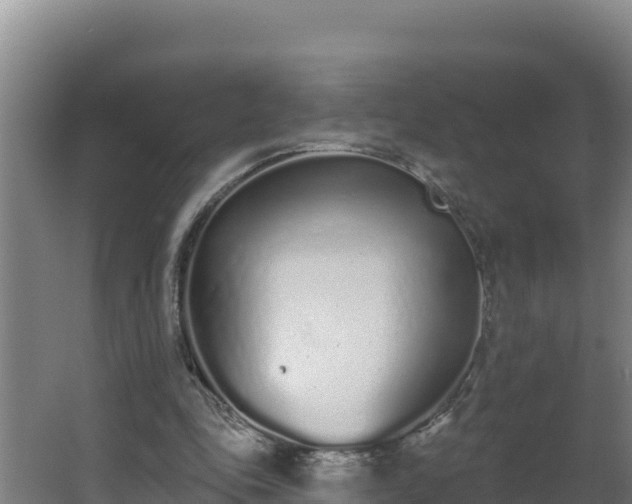 X0000064050343200602031629