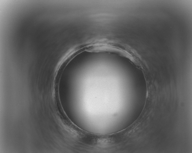 X0000064050344200602031629