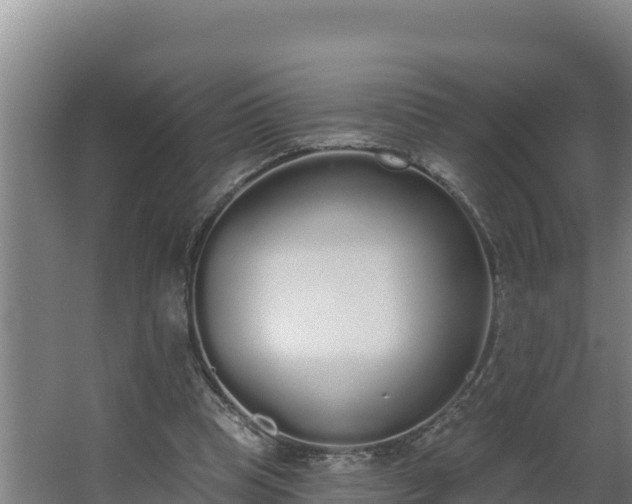 X0000064050345200602031629