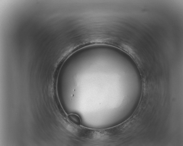 X0000064050346200602031629