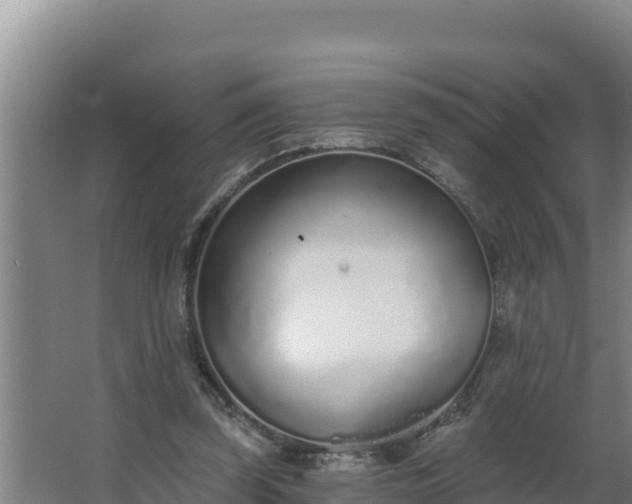 X0000064050347200602031629