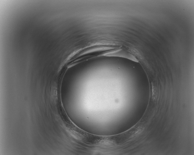 X0000064050348200602031629