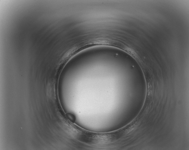 X0000064050349200602031629