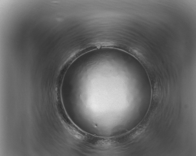 X0000064050351200602031629