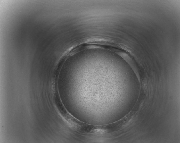 X0000064050352200602031629