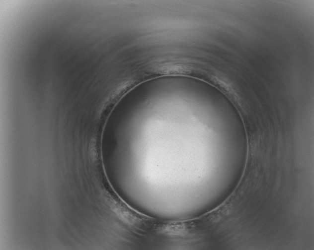 X0000064050353200602031629