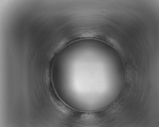 X0000064050354200602031629