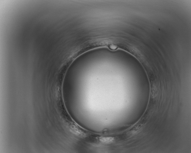 X0000064050355200602031629