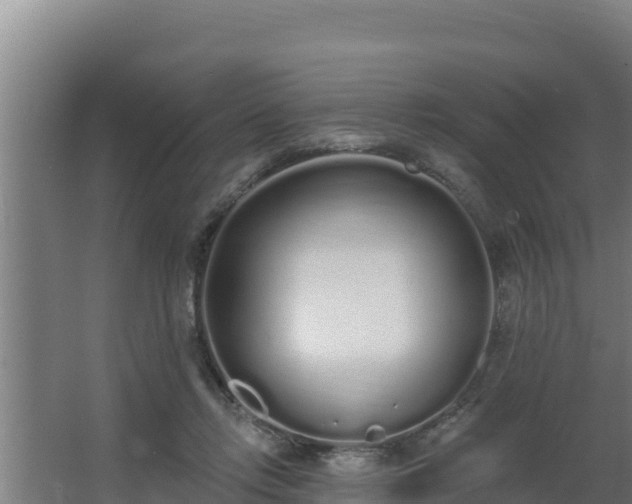 X0000064050358200602031629