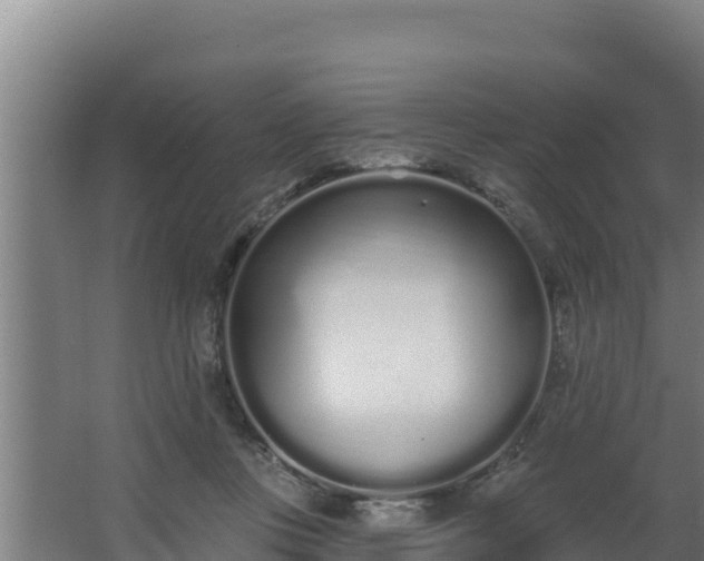 X0000064050359200602031629