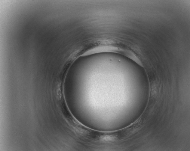 X0000064050360200602031629