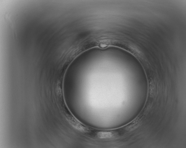 X0000064050361200602031629