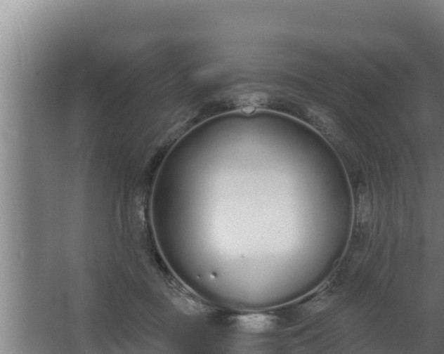 X0000064050363200602031629