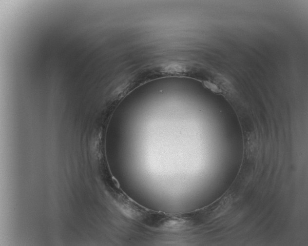 X0000064050364200602031629