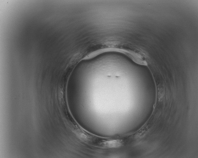 X0000064050365200602031629