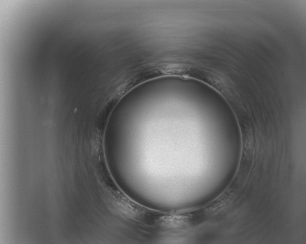 X0000064050367200602031629