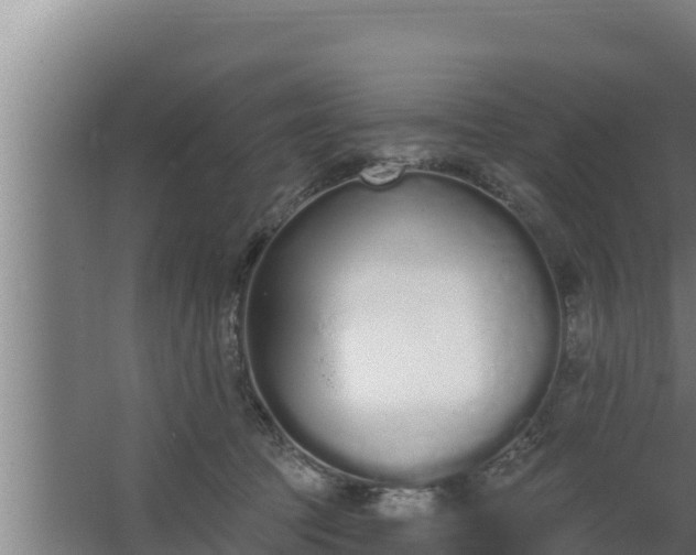 X0000064050369200602031629