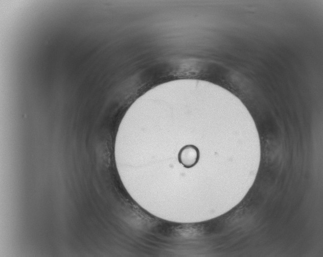 X0000064050370200602031629