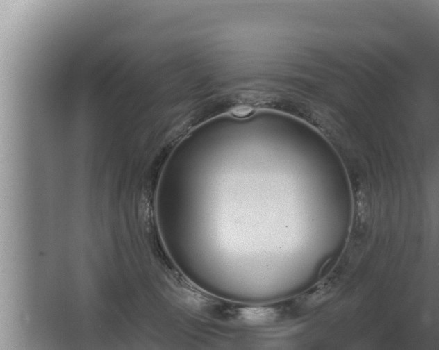 X0000064050371200602031629