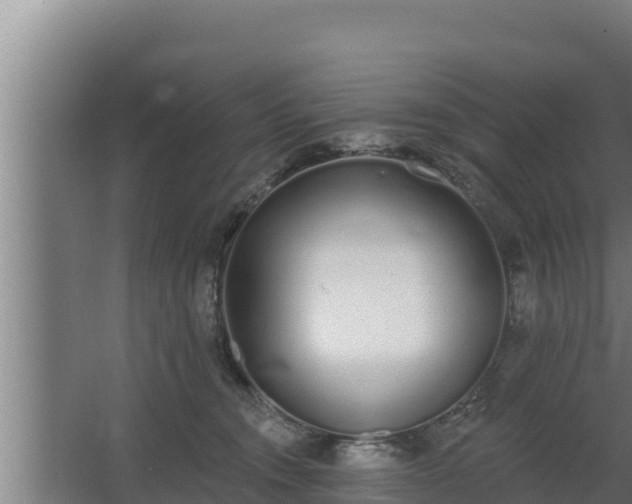 X0000064050372200602031629