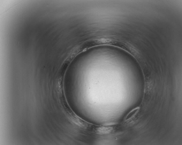 X0000064050373200602031629