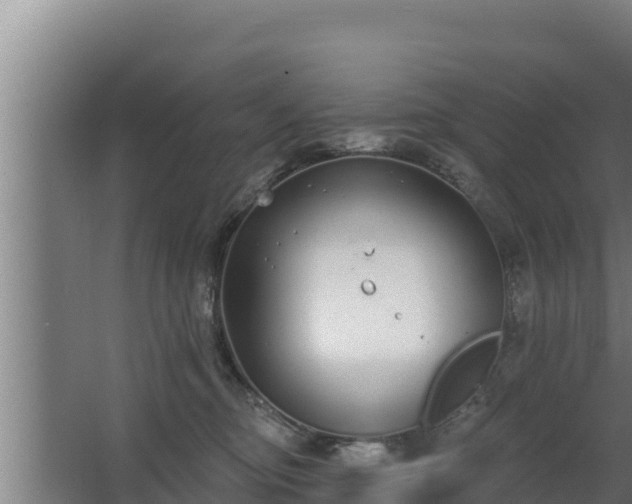 X0000064050374200602031629