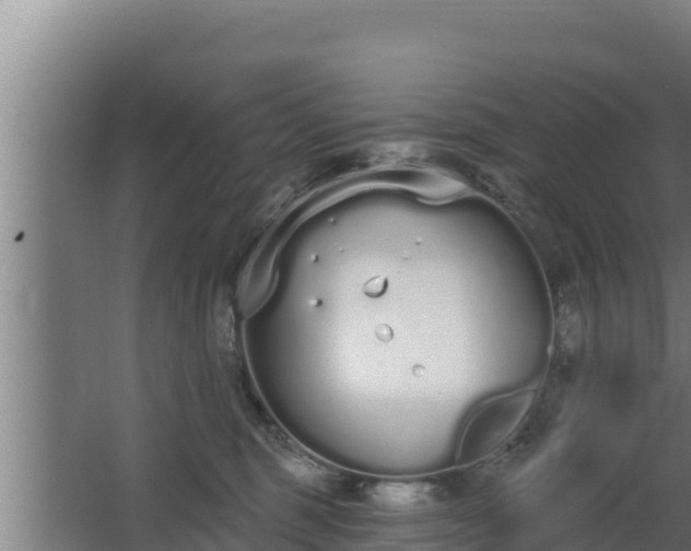 X0000064050375200602031630