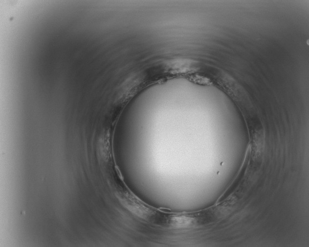 X0000064050376200602031630