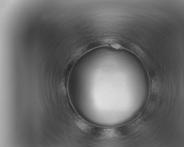 X0000064050377200602031630