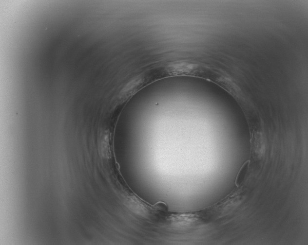 X0000064050378200602031630