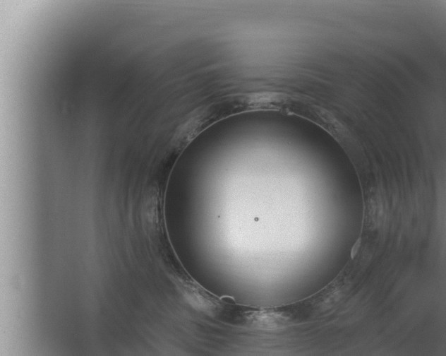 X0000064050379200602031630