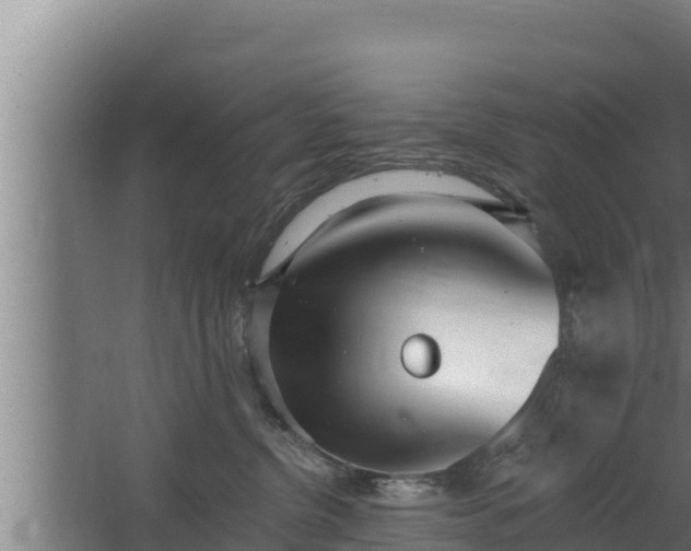 X0000064050380200602031630