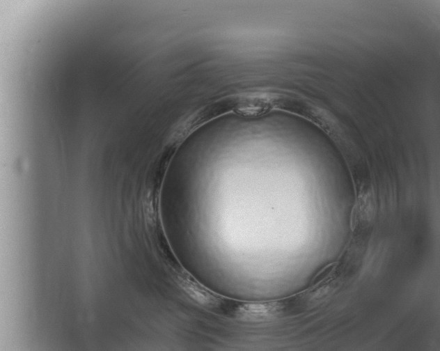 X0000064050381200602031630