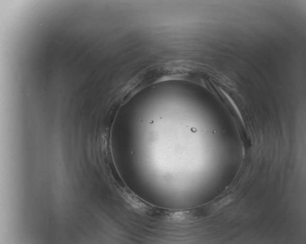 X0000064050382200602031630