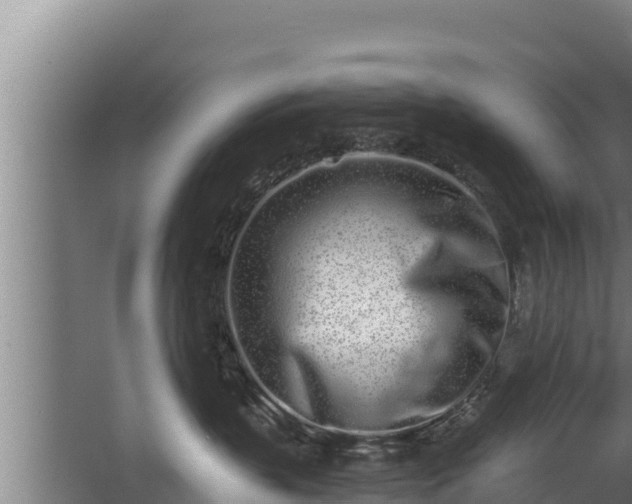 X0000064050383200602031630