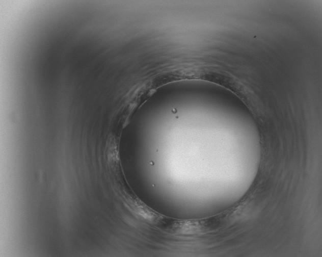 X0000064050384200602031630