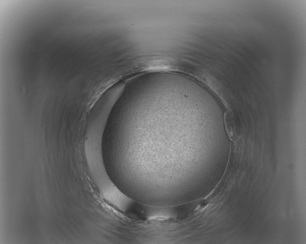 X0000064050385200602031629