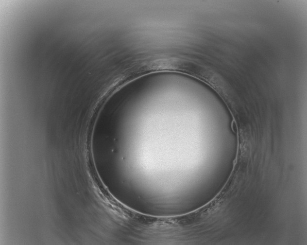 X0000064050386200602031629